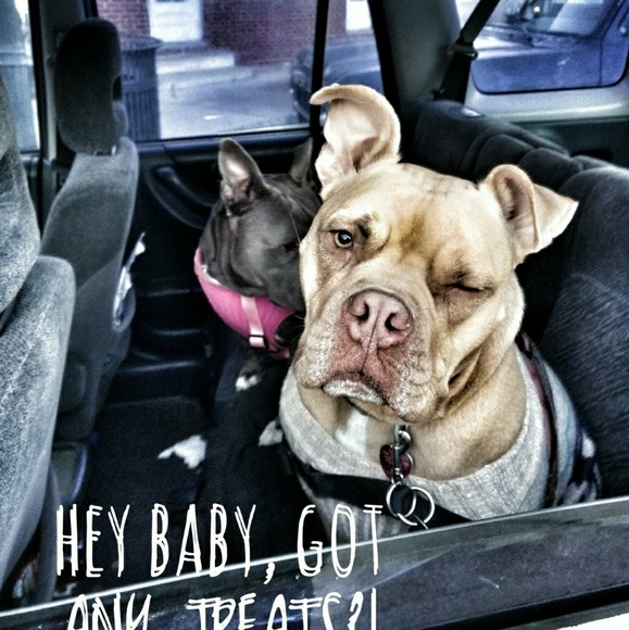 Meet your Posher, Jean - Picture 2 of 5